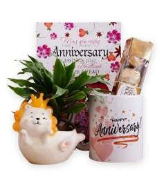 Anniversary Gifts