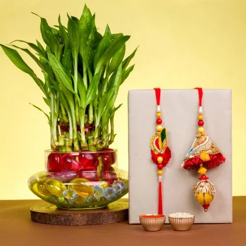Zardosi Rakhi & Lucky Bamboo Set